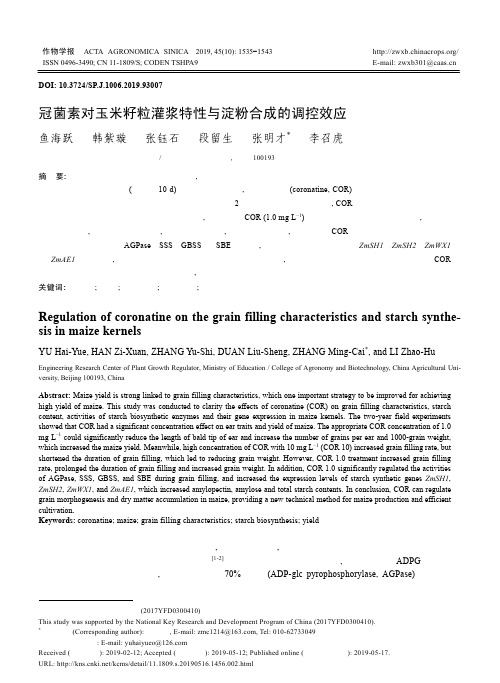 冠菌素对玉米籽粒灌浆特性与淀粉合成的调控效应