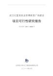武汉红星美凯龙商业项目工作可行性研究报告材料