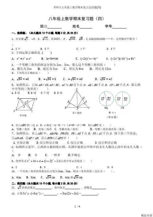 华师大八年级上数学期末复习总结题(四)(可打印修改)