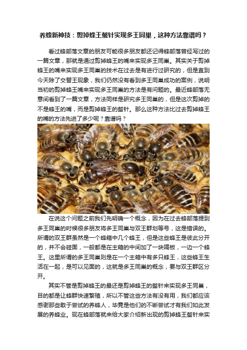 养蜂新神技：剪掉蜂王螫针实现多王同巢，这种方法靠谱吗？