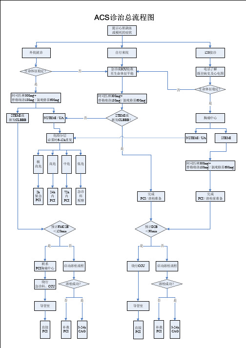 2.18 ACS诊治总流程图