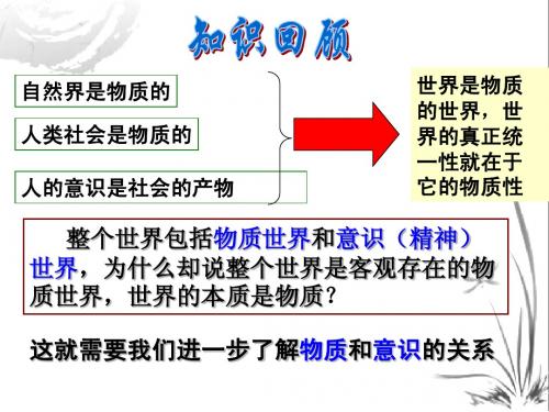 意识的本质