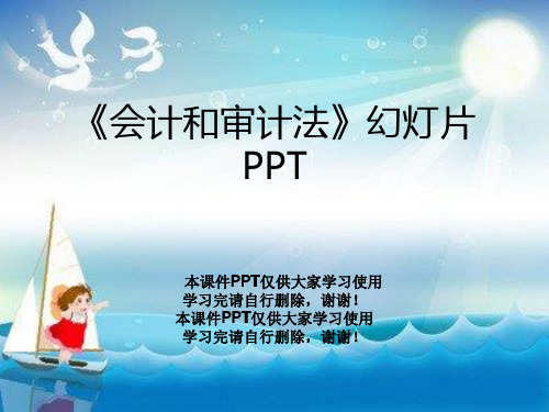 《会计和审计法》幻灯片PPT