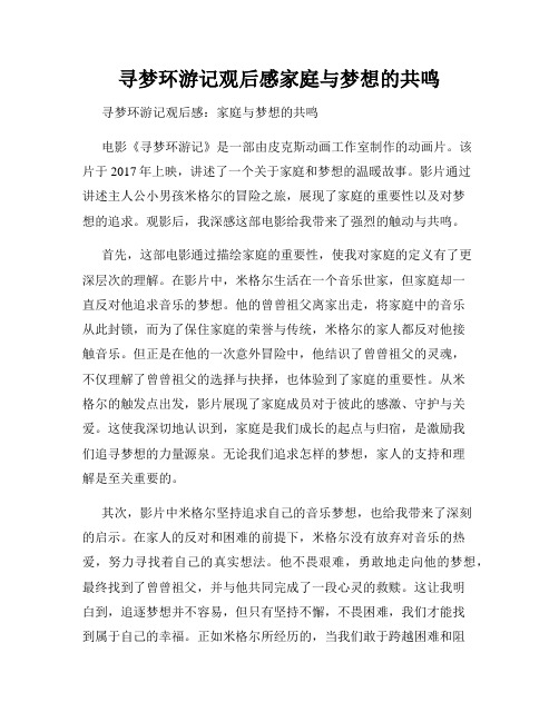 寻梦环游记观后感家庭与梦想的共鸣