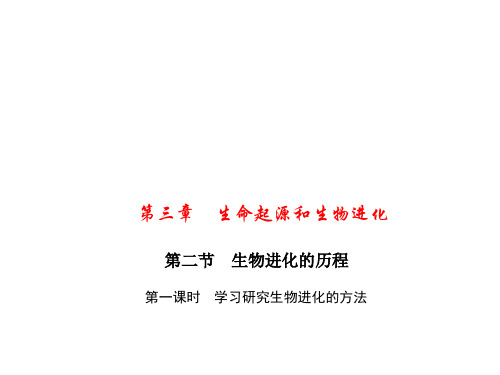 初中生物  生命起源和生物进化3(5份) 人教版3精品课件