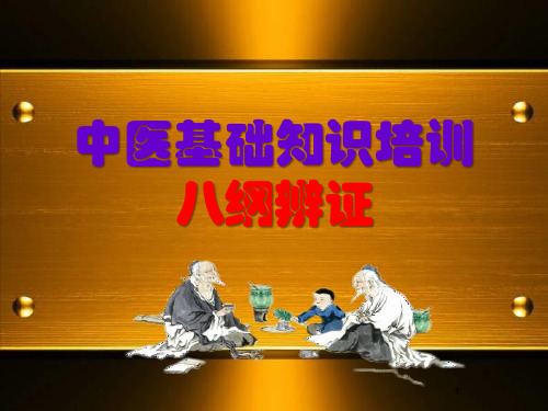 中医基础知识八纲辨证ppt演示课件