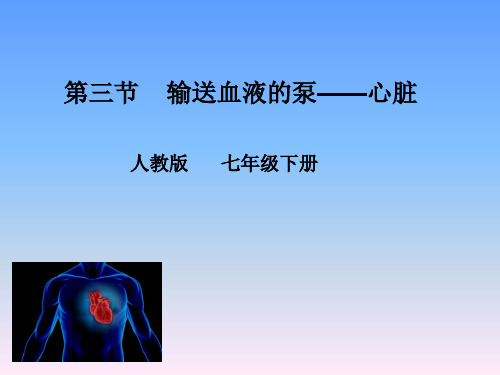 人教版七年级生物下册第四单元第四章第三节 输送血液的泵——心脏(共15张PPT)