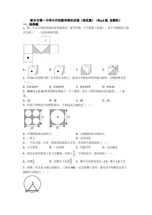 新乡市第一中学小升初数学期末试卷(培优篇)(Word版 含解析)