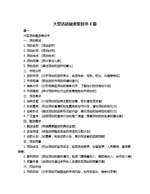 大型活动融资策划书3篇