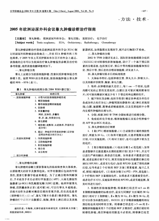 2005年欧洲泌尿外科会议辜丸肿瘤诊断治疗指南