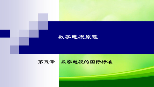 数字电视的国际标准(PPT 41页)