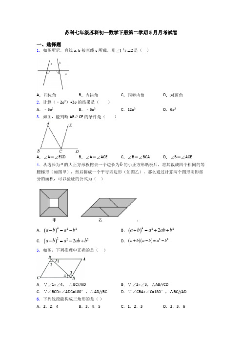 苏科七年级苏科初一数学下册第二学期5月月考试卷