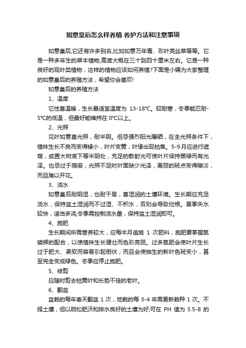 如意皇后怎么样养植养护方法和注意事项