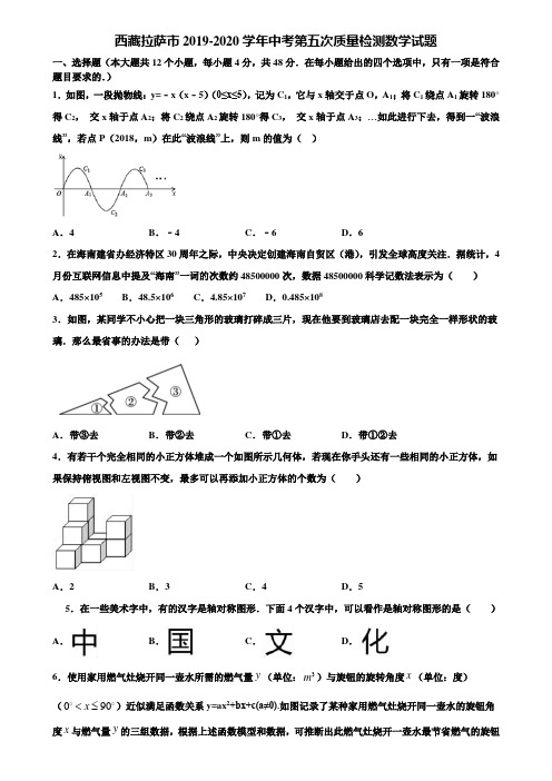 西藏拉萨市2019-2020学年中考第五次质量检测数学试题含解析