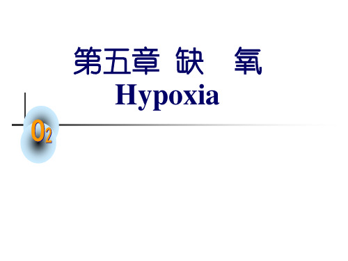 五章节缺氧Hypoxia