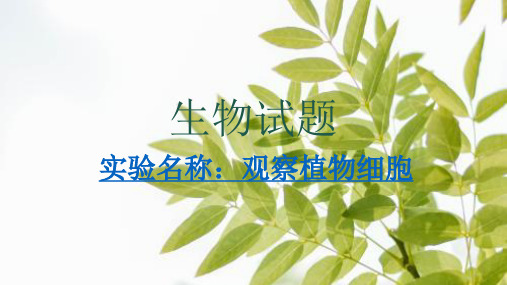 生物实验：制作洋葱鳞叶表皮细胞