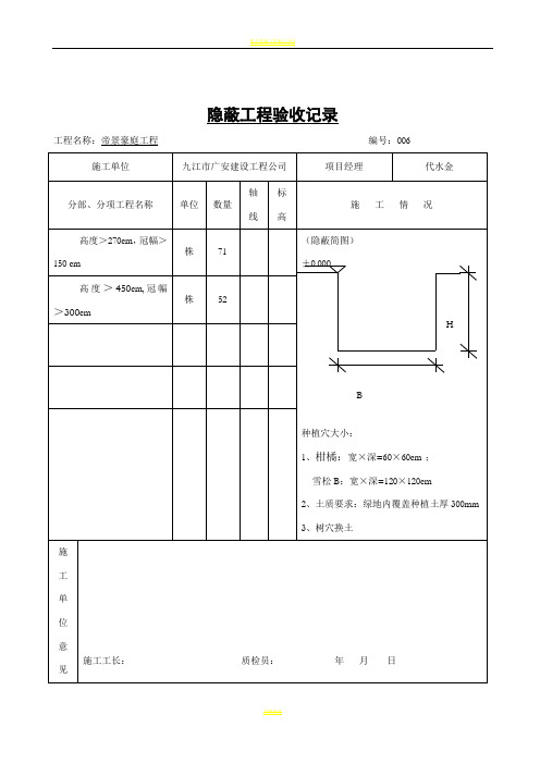 树穴隐蔽工程验收记录