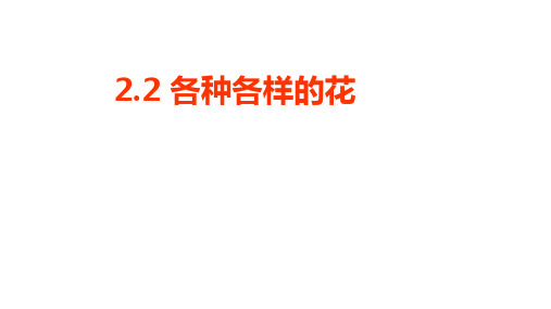 教科版四年级科学下册课件： 各种各样的花(共14张PPT)