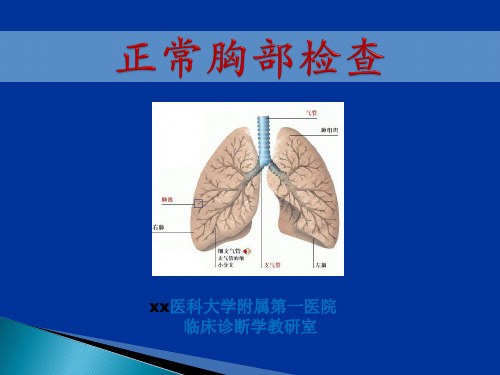 诊断学教学胸部查体