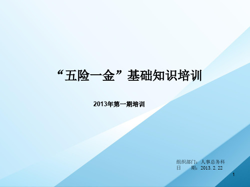 五险一金基础知识培训教案ppt课件