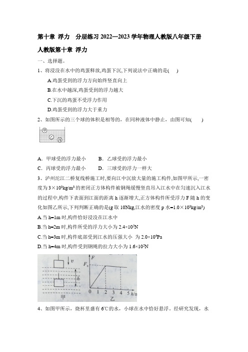 第十章 浮力  分层练习2022—2023学年物理人教版八年级下册