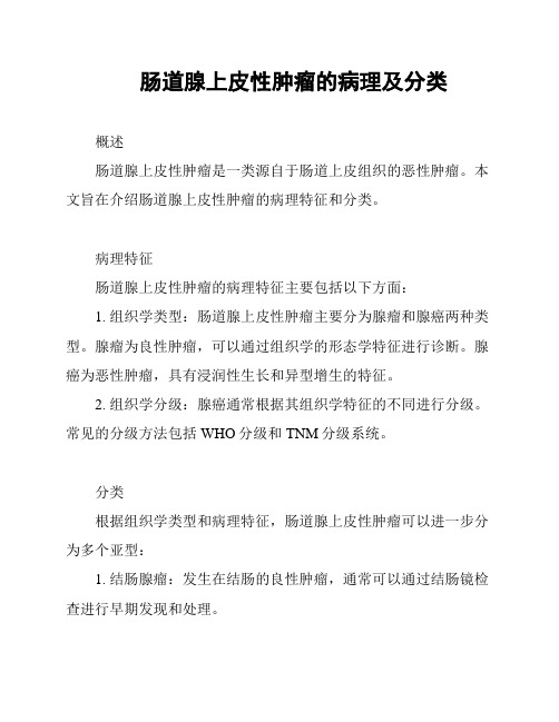 肠道腺上皮性肿瘤的病理及分类