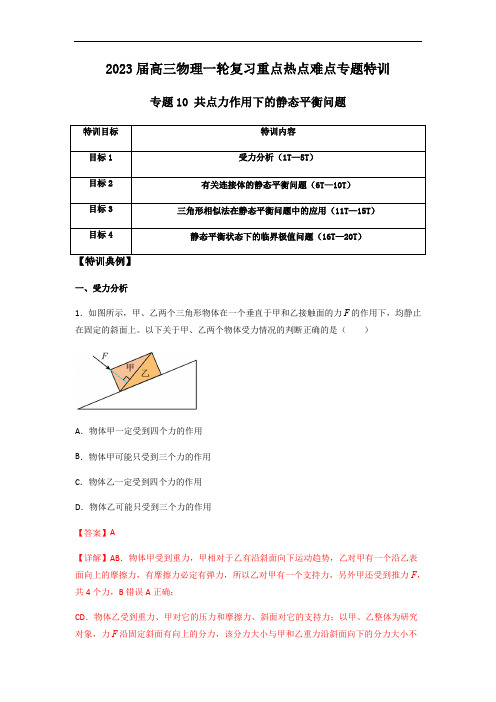 专题10 共点力作用下的静态平衡问题(解析版)