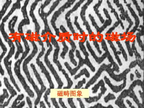 10磁介质的磁化和介质中的安培环路定理(45)