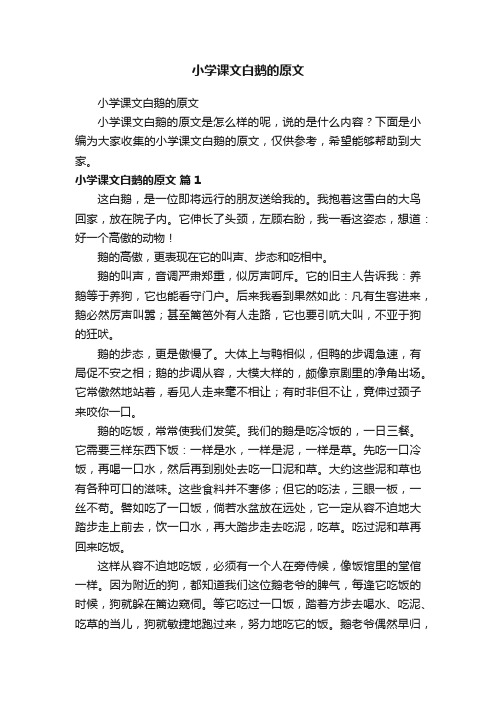 小学课文白鹅的原文