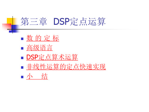 第三章 DSP定点运算