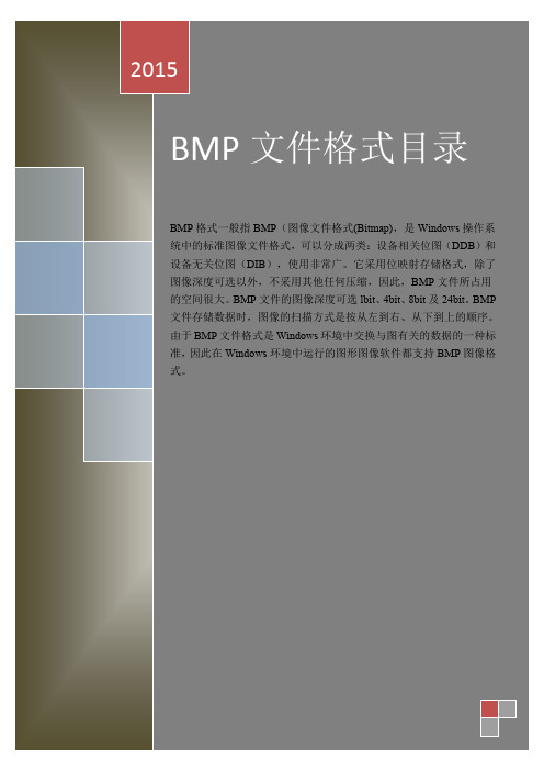 BMP文件格式