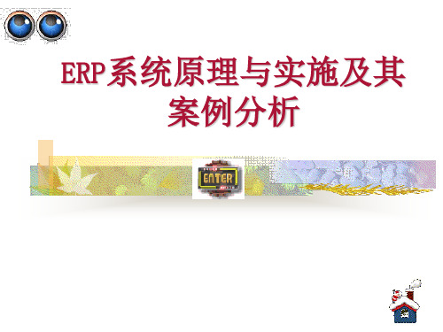 ERP系统原理与实施及其案例分析 (3)