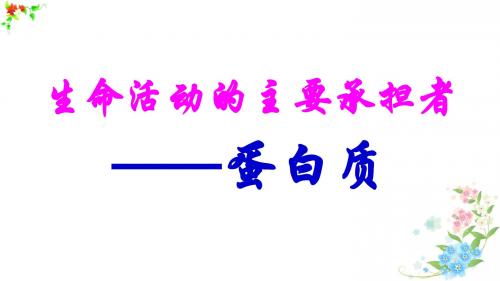 2018年高考生物(必修1)一轮复习：生命活动的主要承担者——蛋白质