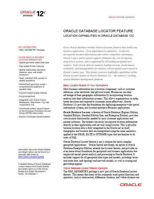 Oracle Database Locator 12c 功能概述说明书