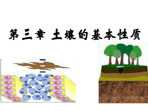 3第三章土壤的基本性质su