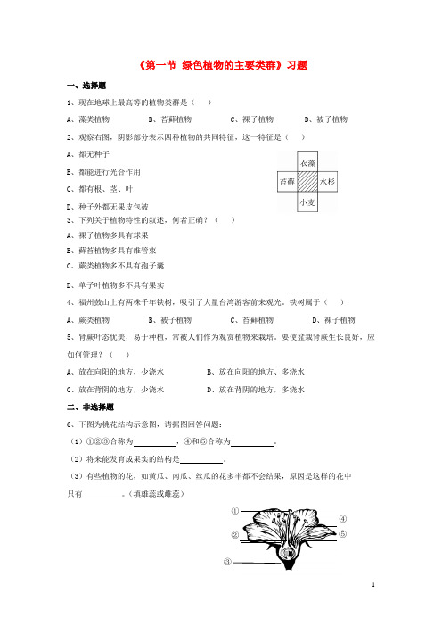 七年级生物上册 第二单元 第一章 第一节 绿色植物的主要类群习题 (新版)济南版