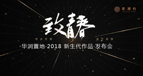 2018华润置地新生代作品发布会策划案-37P