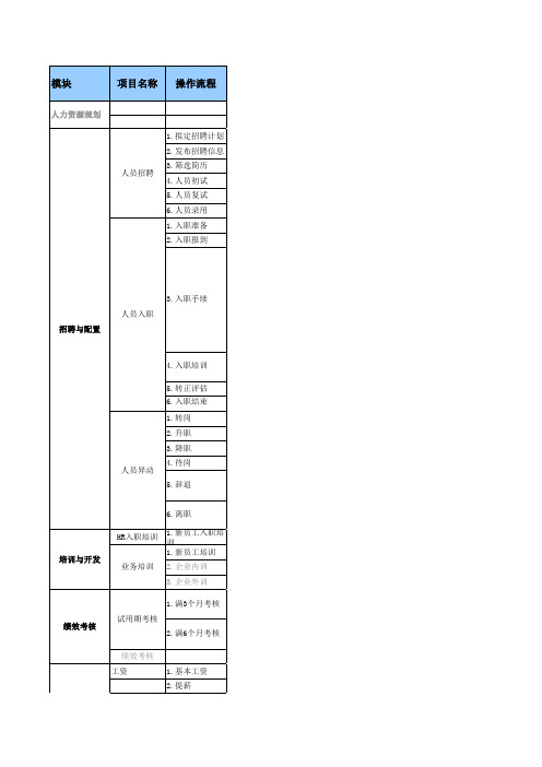 HR工作流程+标准