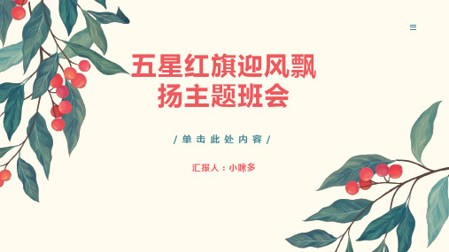 《五星红旗迎风飘扬》的主题班会