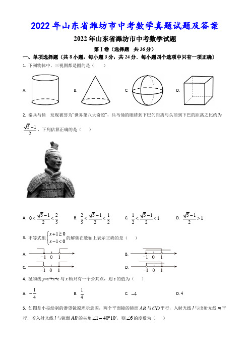 2022年山东省潍坊市中考数学真题试题及答案