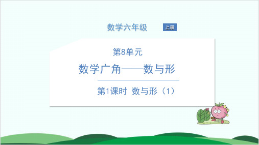 六年级上册数学习题课件第8单元 数学广角——数与形 人教版 1