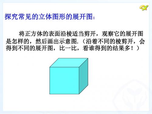 正方体的11种展开图