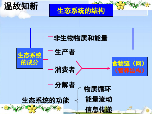人教版高中生物必修3 5.5生态系统的稳定性公开课(共22张PPT)