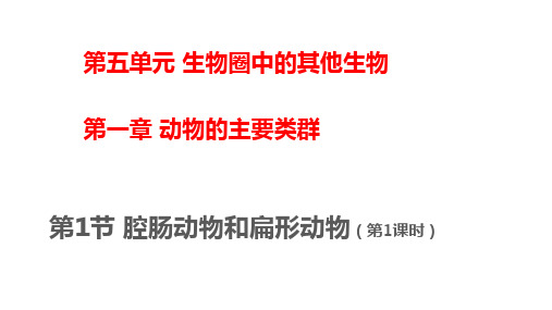 第一节腔肠动物和扁形动物(第一课时)课件2021——2022学年人教版生物八年级上册