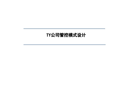 麦肯锡组织管控设计报告