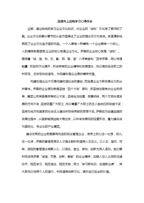 品牌向上战略学习心得体会