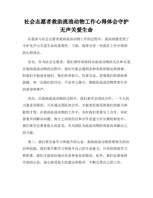 社会志愿者救助流浪动物工作心得体会守护无声关爱生命