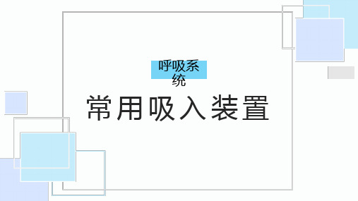 呼吸系统常用吸入装置