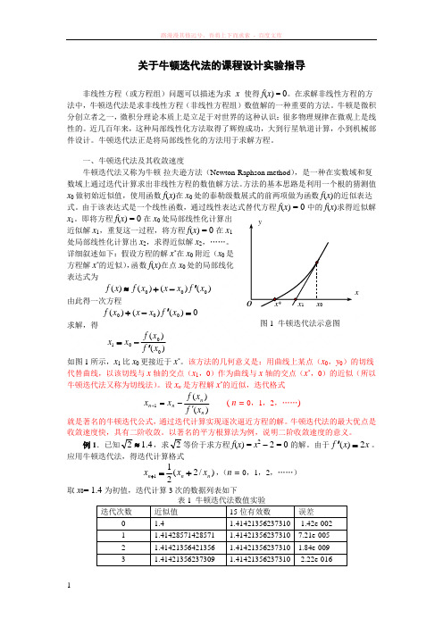 关于牛顿迭代法的课程设计实验指导