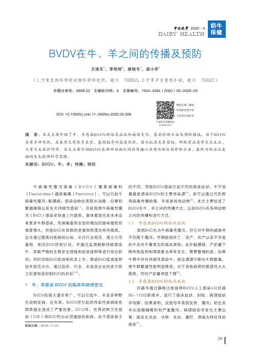 BVDV在牛、羊之间的传播及预防